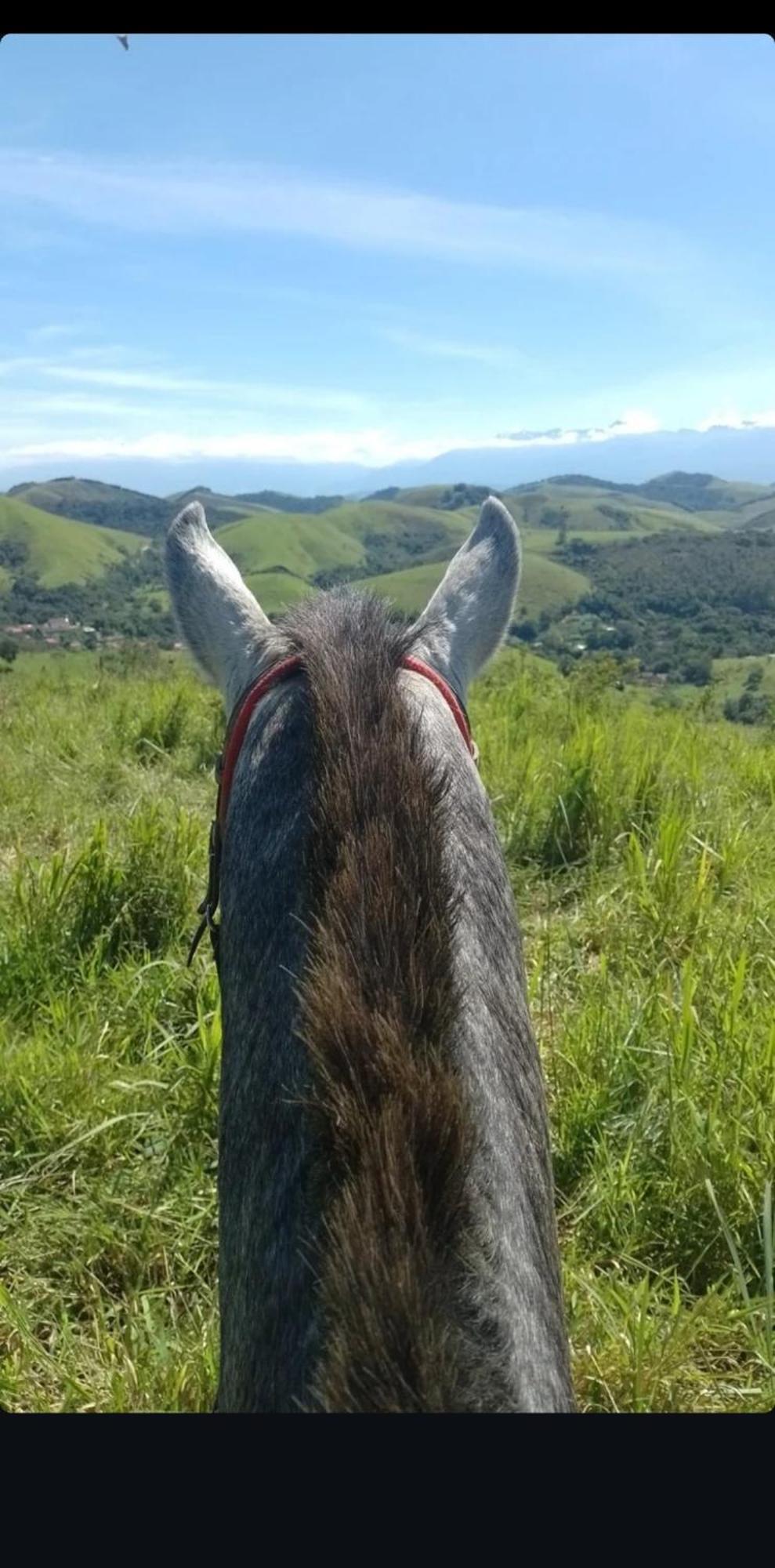 Pousada Sitio Monte Sinai São José do Barreiro Εξωτερικό φωτογραφία