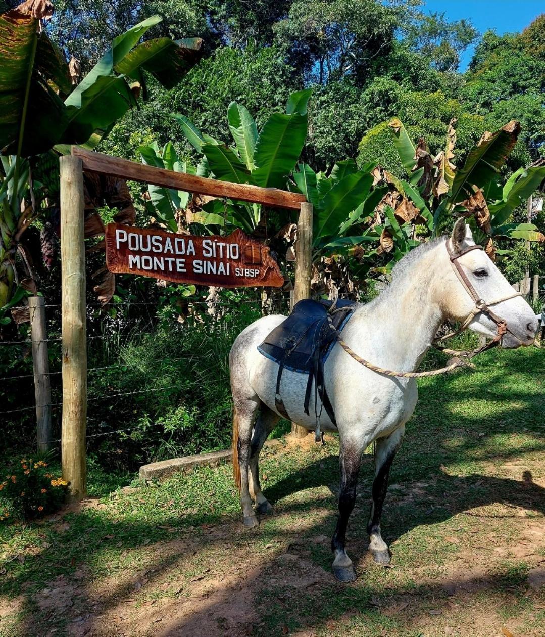 Pousada Sitio Monte Sinai São José do Barreiro Εξωτερικό φωτογραφία