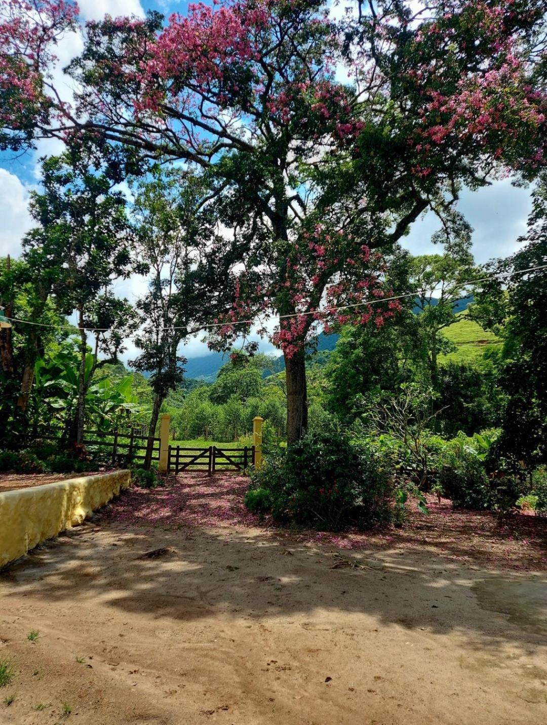 Pousada Sitio Monte Sinai São José do Barreiro Εξωτερικό φωτογραφία